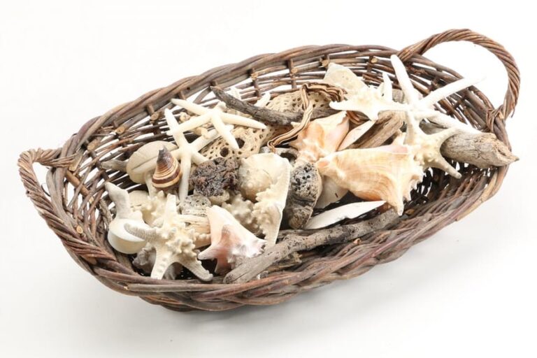 basket with shells and driftwood for funeral service